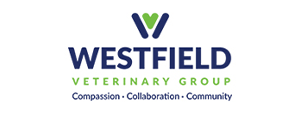 westfield veterinary group