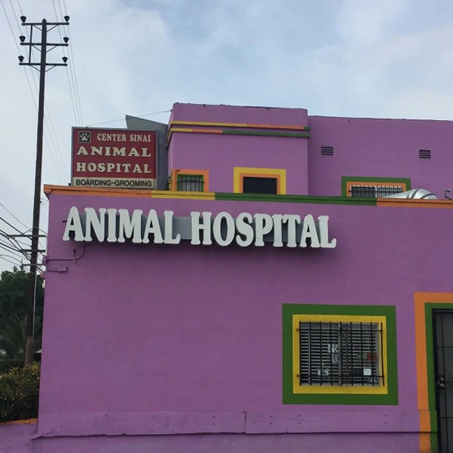 Center Sinai Animal Hospital in Los Angeles