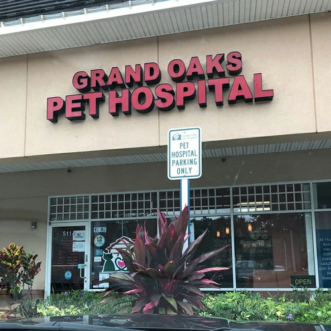 Grand Oaks Pet Hospital