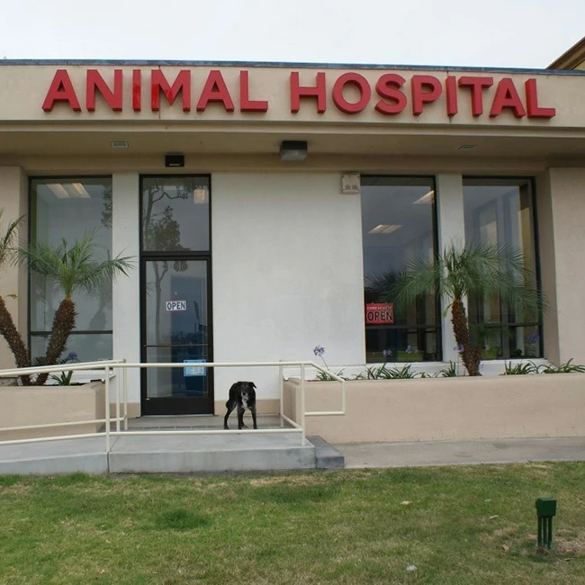 San Diego Bay Animal Hospital