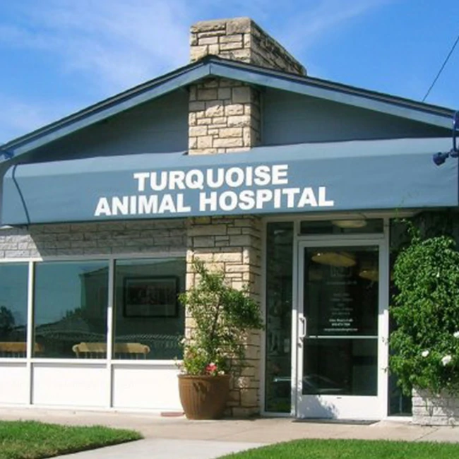 Turquoise Animal Hospital